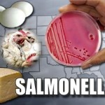 Salmonellosi: cause,sintomi e cure 