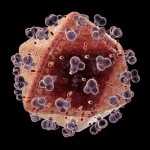 Prevenire e conoscere l’epatite