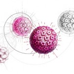 Come riconoscere il Papilloma Virus (HPV) 