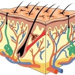 Eczema cronico: che cos’è e come curarlo