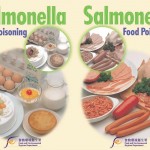 Tossinfezioni alimentari da Salmonella
