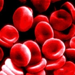 Dieta del gruppo sanguigno: funziona davvero?