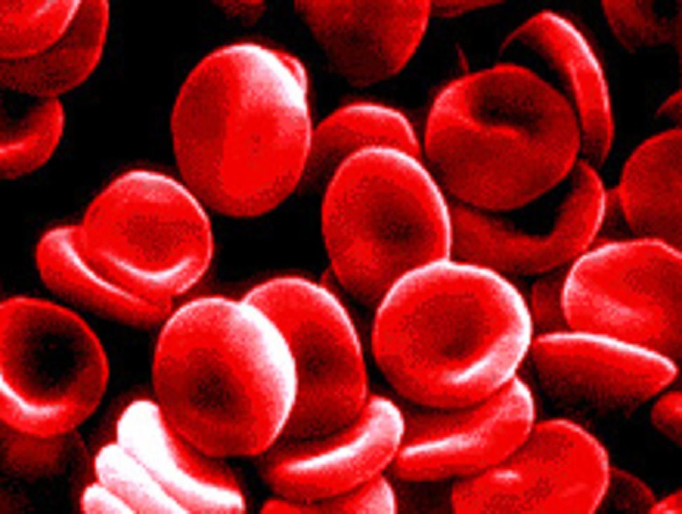 Dieta del gruppo sanguigno: funziona davvero?
