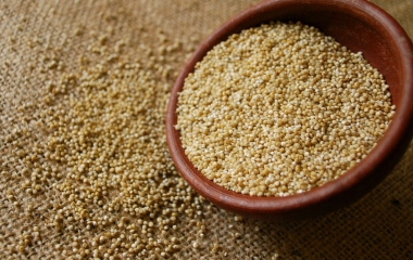 Quinoa: cos'è e come cucinarla