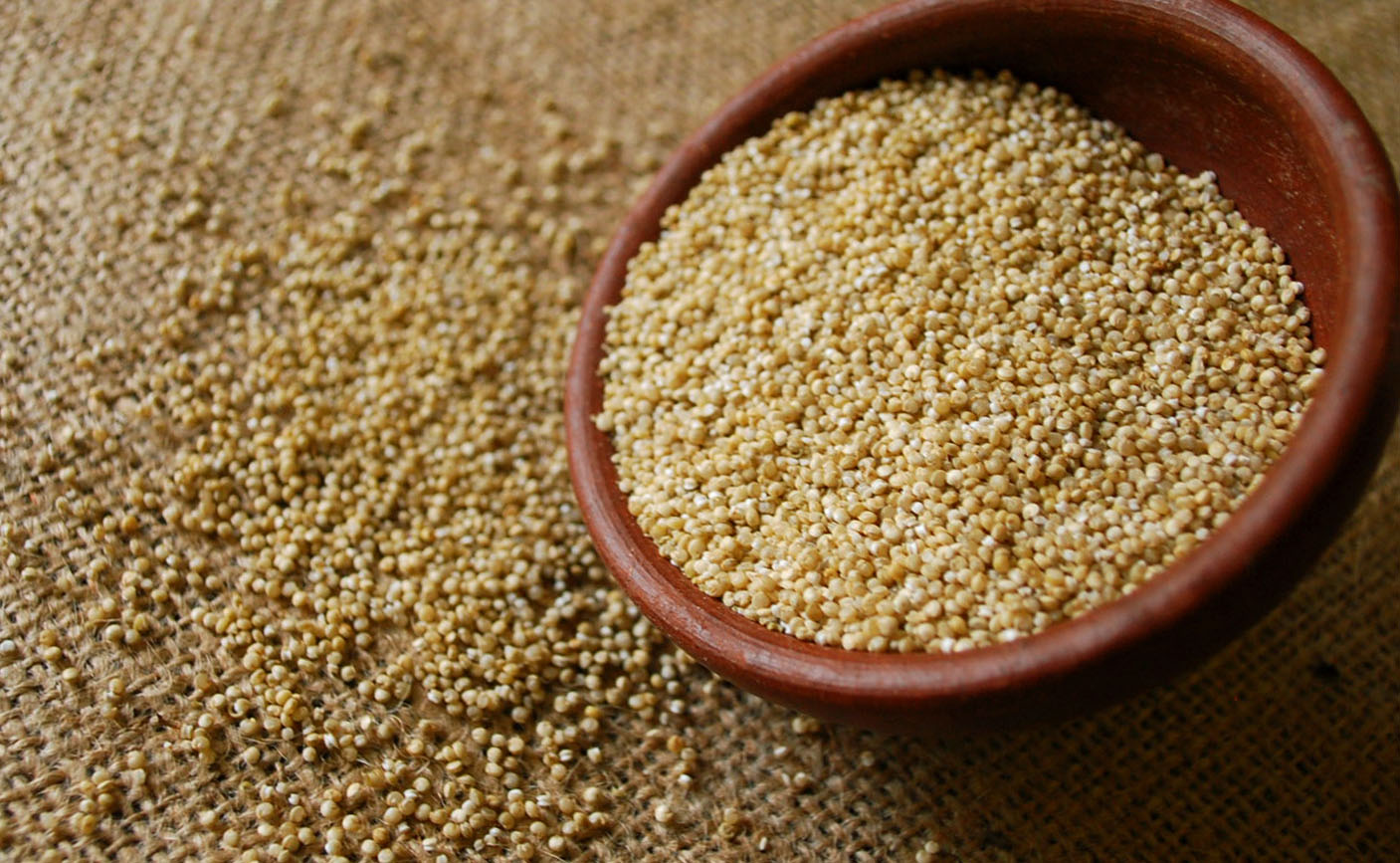 Quinoa: cos'è e come cucinarla