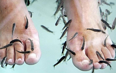 Fish pedicure: un trattamento singolare ma ricco di benefici