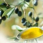 Olio d’oliva per avere ossa più forti