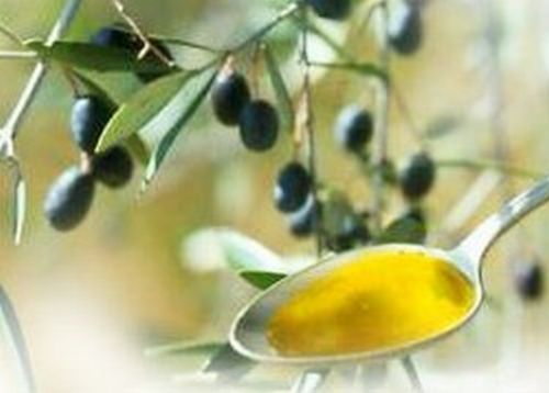 Olio d'oliva per avere ossa più forti