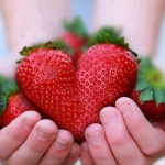 I frutti rossi contro ipertensione e stress