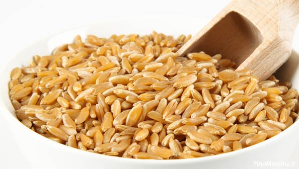 Tutto sul kamut, il cereale del benessere